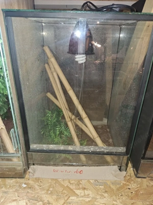 Hochterrarium 40x40x60