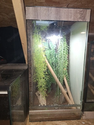 Hochterrarium 40x40x80