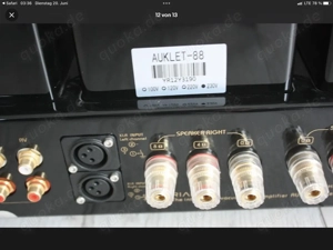 Röhrenverstärker Yarland Audio Ariand Auklet 88