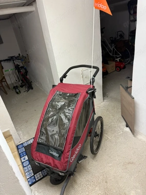 Queridoo Sportrex 1 Limited Edition