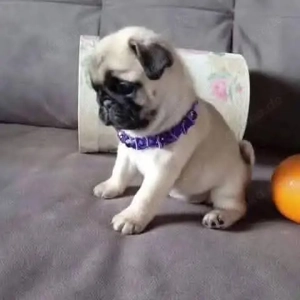 Nur noch wenige Tage! 