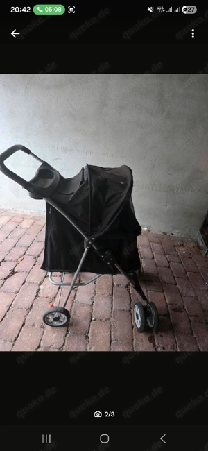 Hundebuggy, Katzenbuggy