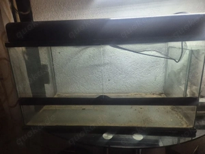 Exo Terra mit Lampentop