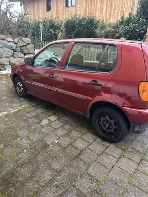 Volkswagen Polo Polo 60 Servo Bild 1