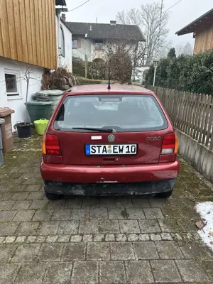 Volkswagen Polo Polo 60 Servo Bild 2