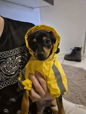 zu verkaufen Reepincher