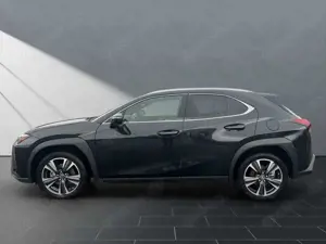 Lexus UX 250h 250h*STYLE*1HD*CARPLAY* 15J-GARANTIE* Bild 2