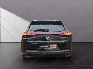 Lexus UX 250h 250h*STYLE*1HD*CARPLAY* 15J-GARANTIE* Bild 4