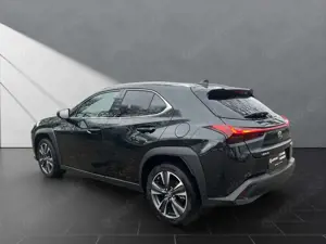 Lexus UX 250h 250h*STYLE*1HD*CARPLAY* 15J-GARANTIE* Bild 3