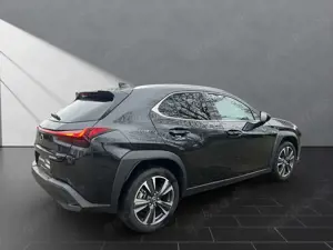 Lexus UX 250h 250h*STYLE*1HD*CARPLAY* 15J-GARANTIE* Bild 5
