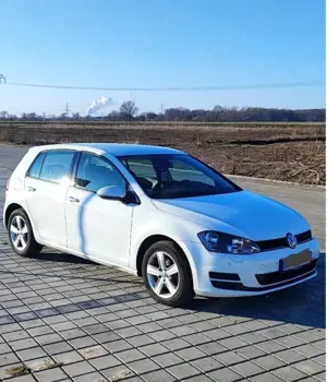 Volkswagen Golf VII 2.0 TDI 16V BLUE MOTION
