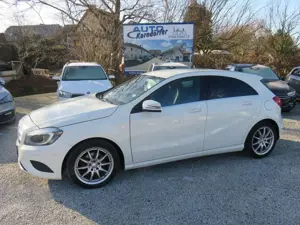 Mercedes-Benz A 180 1.6  Style Bi-Xenon LED SH Bild 2