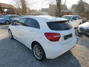 Mercedes-Benz A 180 1.6  Style Bi-Xenon LED SH Bild 3