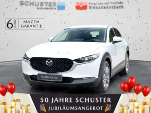 Mazda CX-30 2025 Takumi X186PS AG LEDER BOSE MATRIX 4K