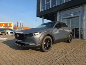 Mazda CX-30 2.5L 140PS Nagisa, sofort Bild 2