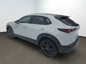 Mazda CX-30 2.5L e-SKYACTIV G 140PS Homura Bild 2