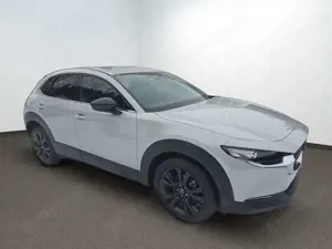 Mazda CX-30 2.5L e-SKYACTIV G 140PS Homura Bild 5