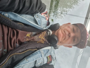 Sextreffen Swingerclub!