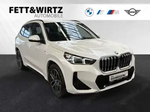 BMW X1 sDrive18i M Sportpaket|Parkass.|18"LMR