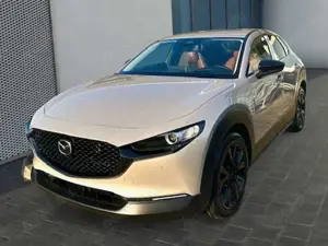 Mazda CX-30 Nagisa 2.5L e-SKYACTIV G 140 AT CX-30 Nagisa 2.5L