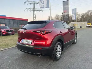 Mazda CX-30 2.5 140PS AT Homura LED Kamera NAVI Bild 3