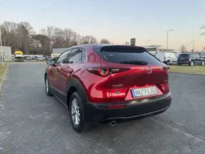 Mazda CX-30 2.5 140PS AT Homura LED Kamera NAVI Bild 4