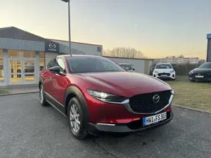 Mazda CX-30 2.5 140PS AT Homura LED Kamera NAVI Bild 2