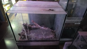 Verschiedene Terrarien 