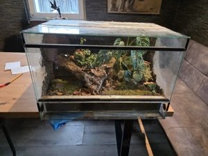 Verschiedene Terrarien 