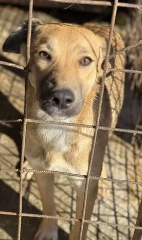Sensible Raluca sucht ihren Lieblingsmenschen 