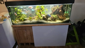 Aquarium mit Unterschrank 