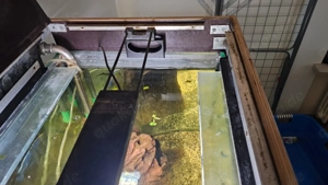 Aquarium mit Unterschrank 