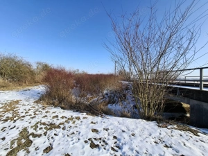 Outdoor Sex für Frauen im Auto 