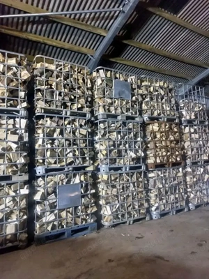  Kisteweise ofengetrocknetes Brennholz   sofort einsatzbereit