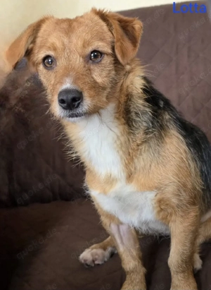 Lotta freut sich auf Deinen Besuch 