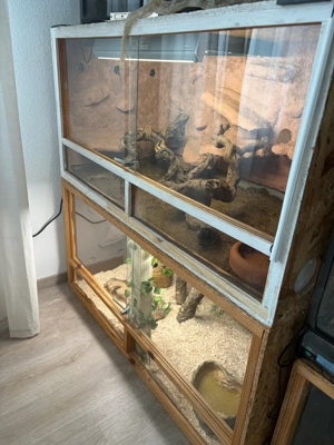 Terrarium 120x60x60