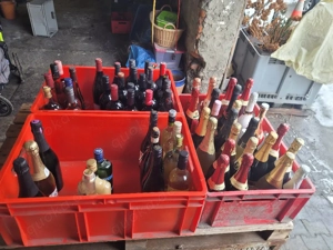 Wein Sekt Flaschen original verschlossen