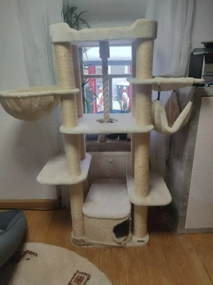 Großer Kratzbaum abzugeben 