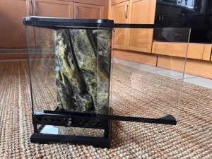Exo Terra Terrarium aus Glas, mit Front Belüftung, 20 x 20 x 30cm 