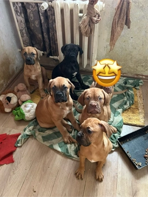 Wie suchen für uns schöne bleibe