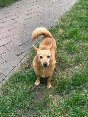 Nanny sucht ihr Für immer Zuhause 