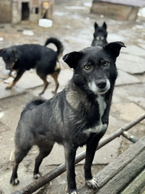 Liebe Zita wurde lange übersehen