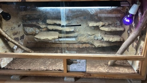 Terrarium 120x50x50 mit Heatpanel 