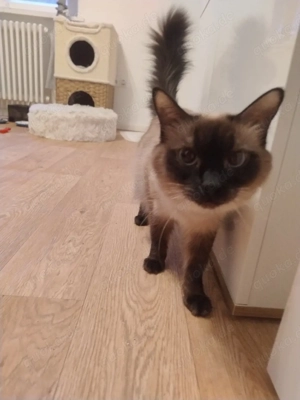 Liebevolles Zuhause gesucht 