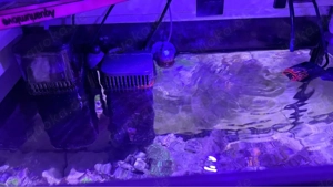 Juwel Lido Komplett Meerwasser einsteiger Set 120l