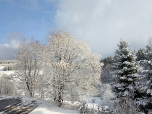 Suche dich für Freundschaft+