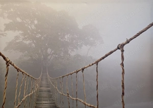 Leinwandbild Hängebrücke von Ikea