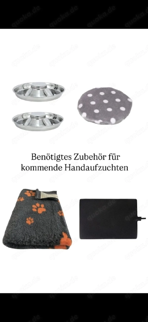 Suche Spenden für Wildtierhilfe 