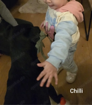 Der gechillte Chilli -einfach ein Traum......*noch in Kroatien* Bild 5