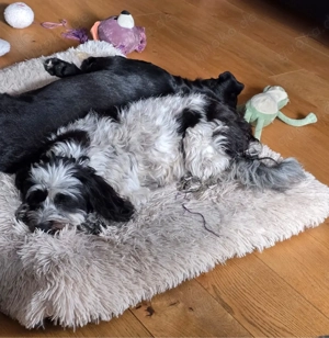 Der gechillte Chilli -einfach ein Traum......*noch in Kroatien* Bild 6